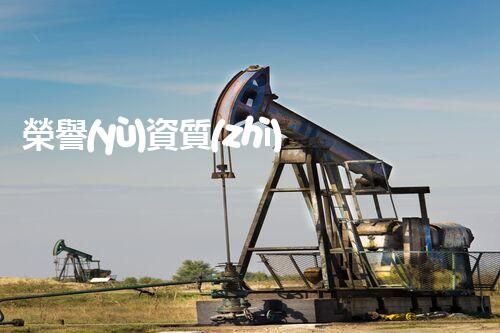榮譽(yù)資質(zhì)三