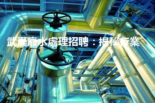 武漢廢水處理招聘：揭秘行業(yè)內(nèi)幕，你不明白的就業(yè)機(jī)會？
