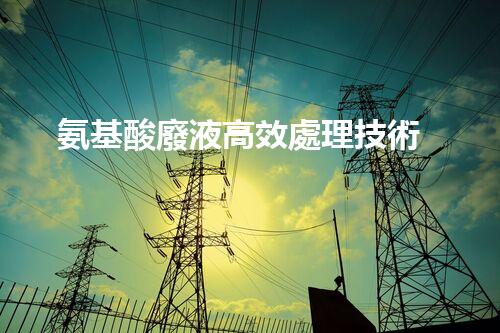 氨基酸廢液高效處理技術