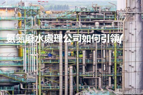氨氮廢水處理公司如何引領(lǐng)行業(yè)變革？