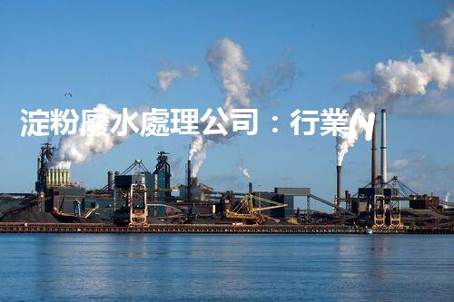 淀粉廢水處理公司：行業(yè)領(lǐng)袖巴洛仕的環(huán)保新篇章？