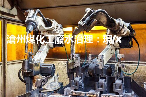 滄州煤化工廢水治理：現(xiàn)狀、挑戰(zhàn)與前景