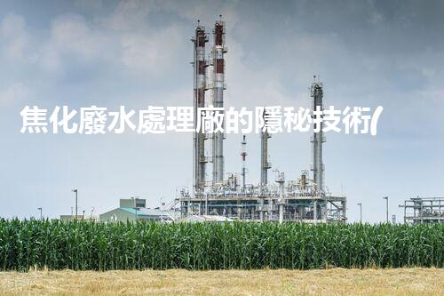 焦化廢水處理廠的隱秘技術(shù)與以后展望