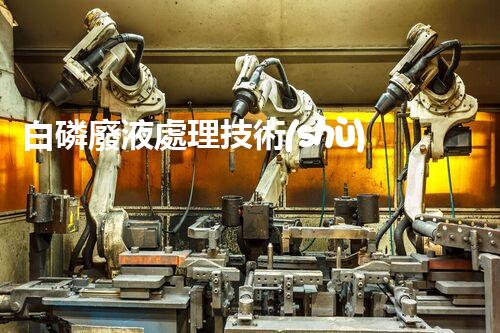 白磷廢液處理技術(shù)及應(yīng)用研究