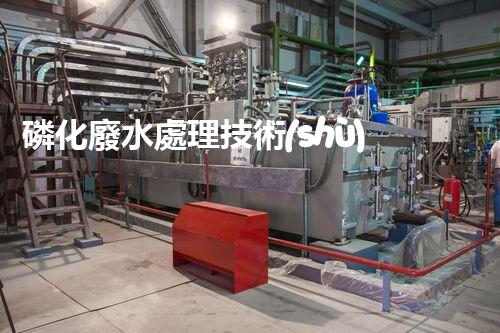 磷化廢水處理技術(shù)革新：環(huán)保產(chǎn)業(yè)的未來(lái)？