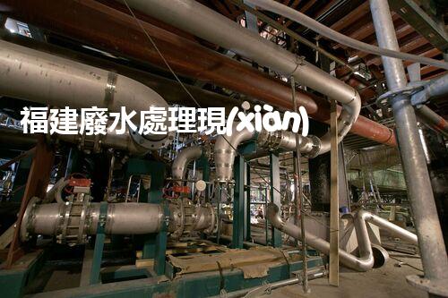 福建廢水處理現(xiàn)狀調(diào)查與未來(lái)發(fā)展趨勢(shì)探索？