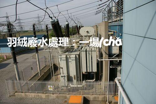 羽絨廢水處理：一場(chǎng)綠色環(huán)保的羽毛盛宴？