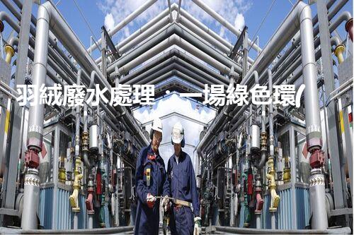 羽絨廢水處理：一場綠色環(huán)保的羽毛盛宴？