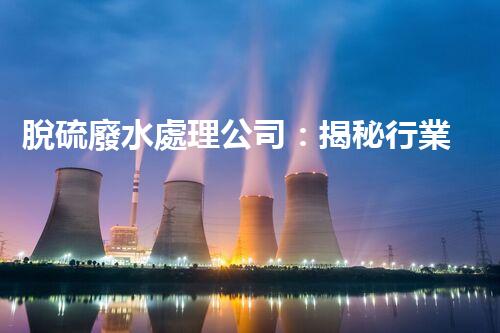 脫硫廢水處理公司：揭秘行業(yè)內(nèi)幕與以后趨勢？