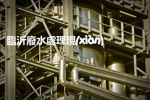 臨沂廢水處理現(xiàn)狀調(diào)查與未來發(fā)展方向探索？