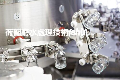 荷蘭廢水處理技術(shù)：探秘“低地之國”的治水智慧？