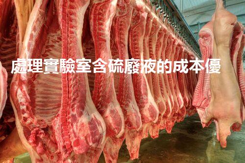 處理實驗室含硫廢液的成本優(yōu)化研究