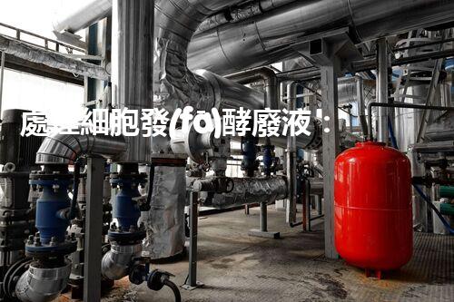 處理細胞發(fā)酵廢液：新型技術(shù)突破