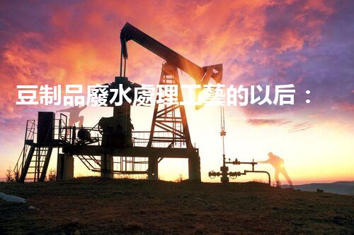 豆制品廢水處理工藝的以后：挑戰(zhàn)與突破？