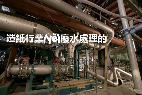 造紙行業(yè)廢水處理的以后：技術創(chuàng)新與環(huán)境保護并駕齊驅？