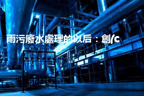 雨污廢水處理的以后：創(chuàng)新技術(shù)與環(huán)保挑戰(zhàn)？