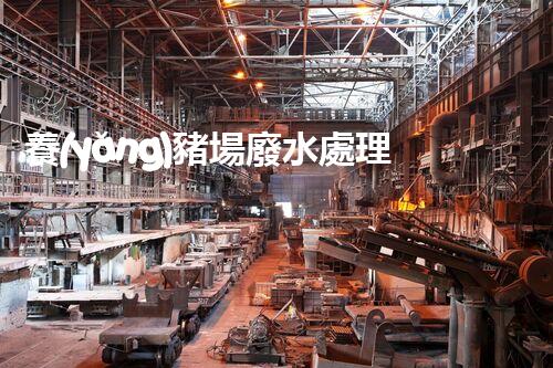 養(yǎng)豬場廢水處理方法的秘密揭曉：創(chuàng)新技術(shù)帶來生態(tài)革命！