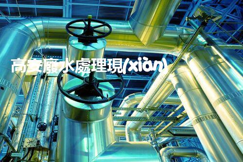 高安廢水處理現(xiàn)狀調(diào)查與未來(lái)發(fā)展方向探索？